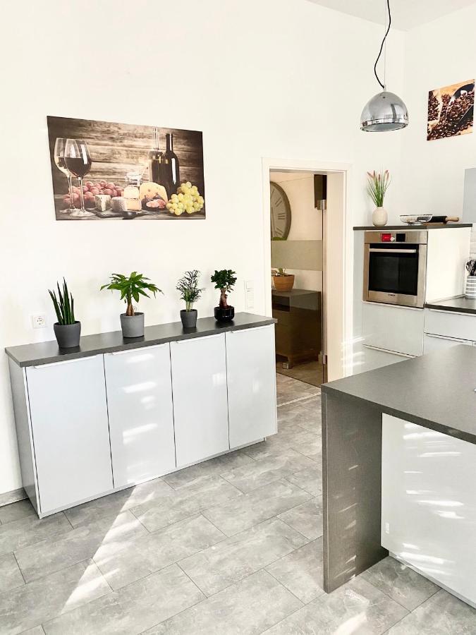 Rosentor Zentrum 180qm & 300qm Apartment *