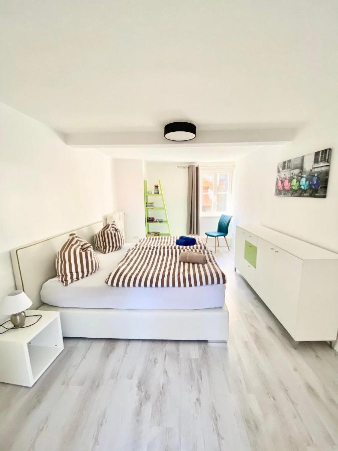 Rosentor Zentrum 180qm & 300qm Apartment *