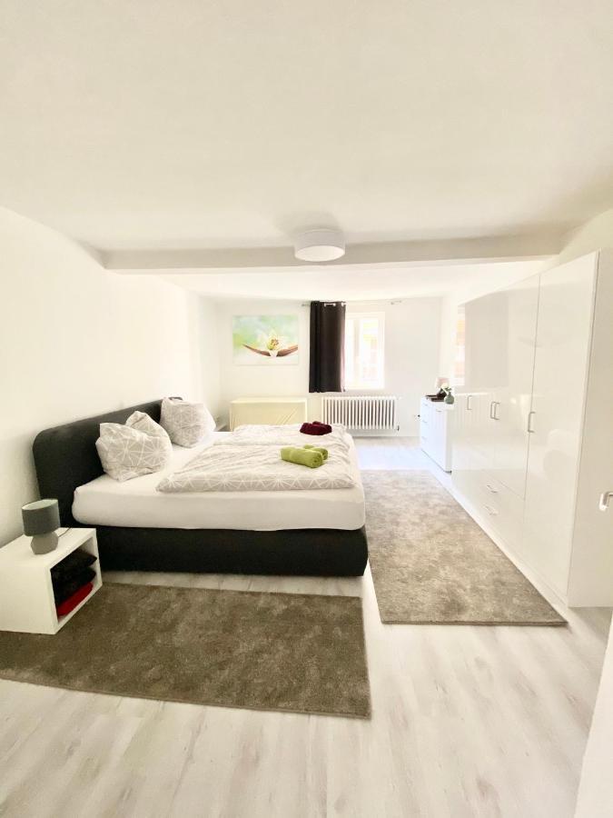 Apartment Rosentor Zentrum 180qm & 300qm Goslar