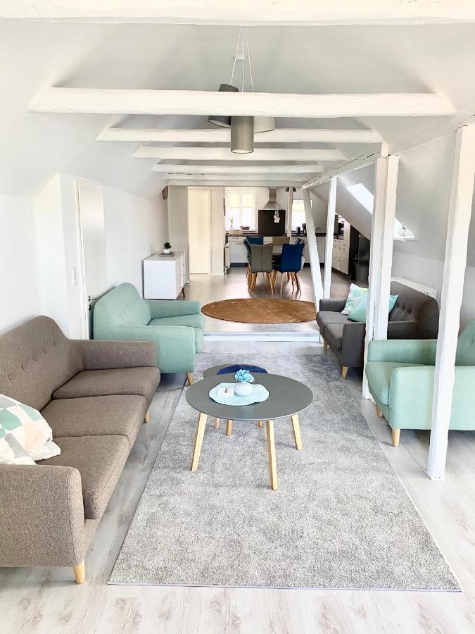 Rosentor Zentrum 180qm & 300qm Apartment Goslar