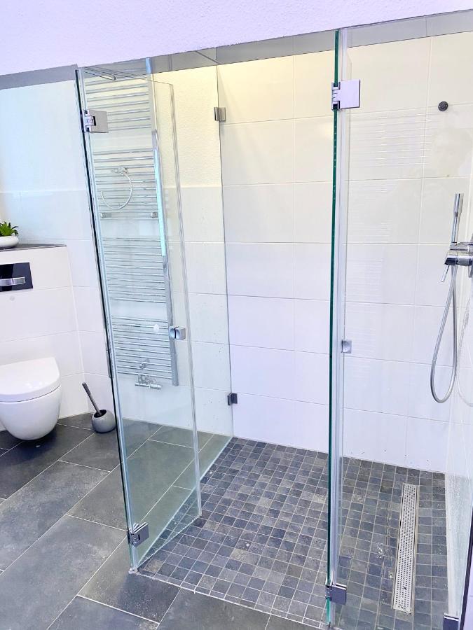 Rosentor Zentrum 180qm & 300qm Apartment *